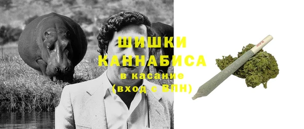 spice Алексин
