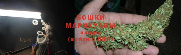 ГАЛЛЮЦИНОГЕННЫЕ ГРИБЫ Алзамай