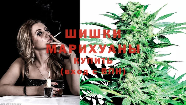 МДПВ Болотное