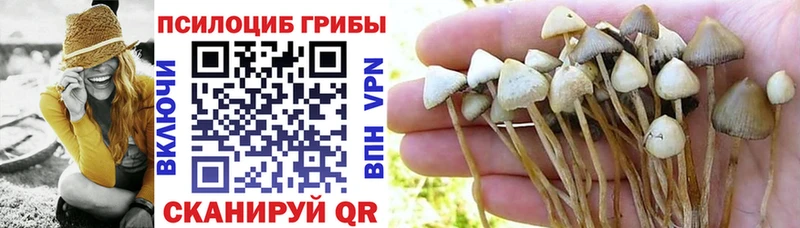 hydra ссылки  Апшеронск  Псилоцибиновые грибы Psilocybine cubensis 